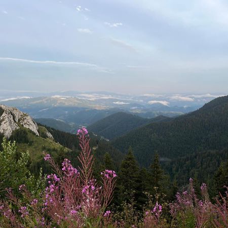 Lux Apartman A18 & Spa Centar Kopaonik Eksteriør billede
